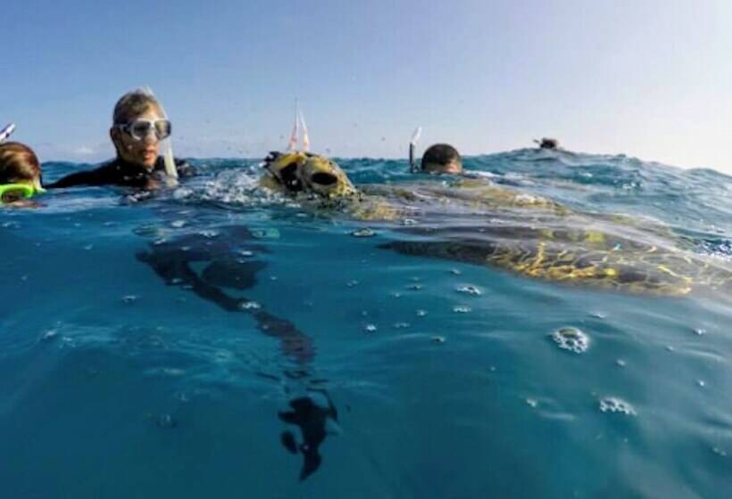 Destin Studio Beach Across The Street
