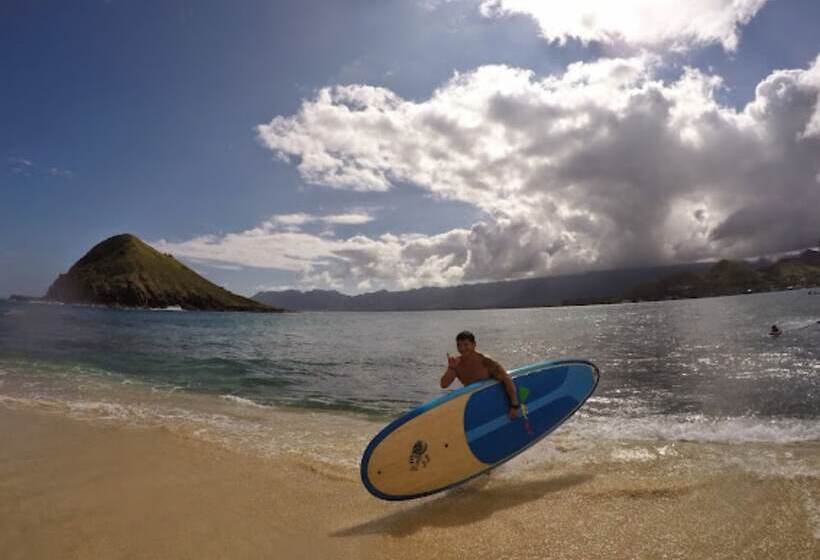 Destin Studio Beach Across The Street