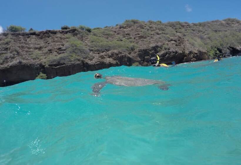 Destin Studio Beach Across The Street