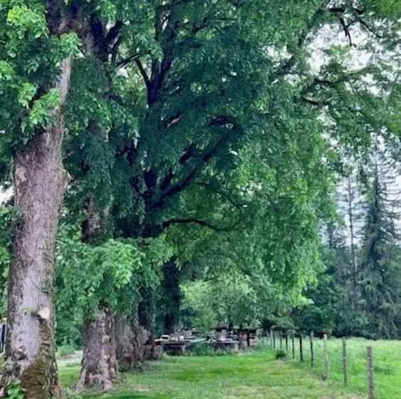 ホテル Hôtel En Tilleul