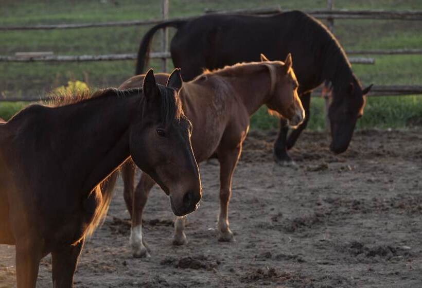 בית מלון כפרי Locanda Fontelupa