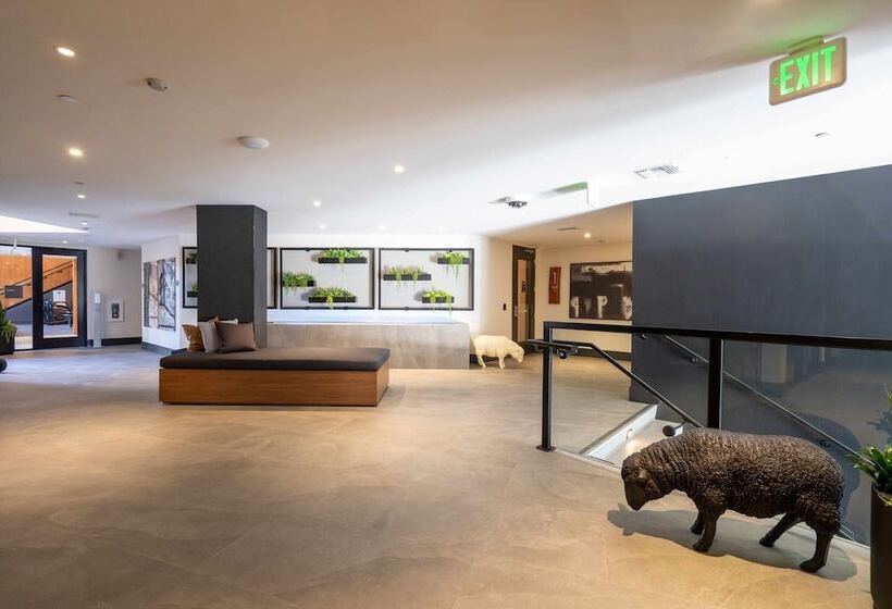 فندق Mv Apartments