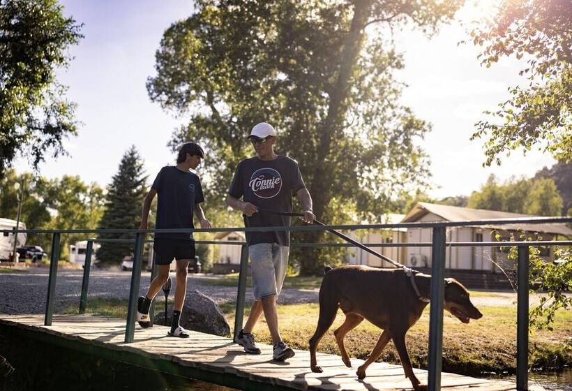 Отель Outdoorsy Bayfield