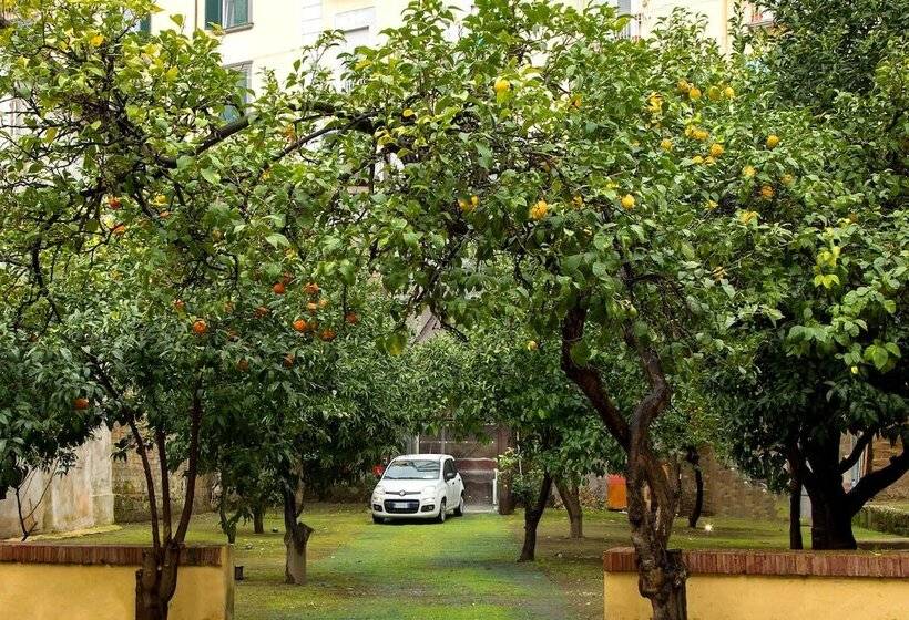 هتل Palazzo Sant Antonio