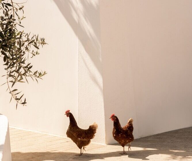 فندق ريفى Sikalindi