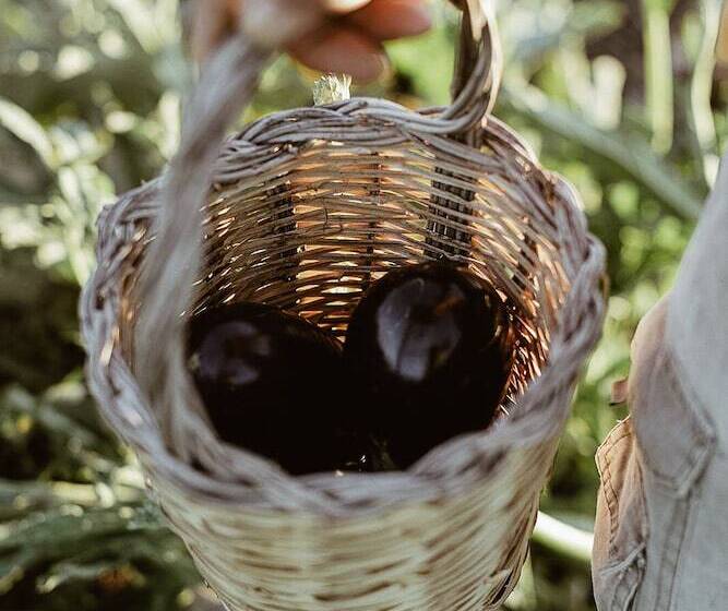 فندق ريفى Sikalindi