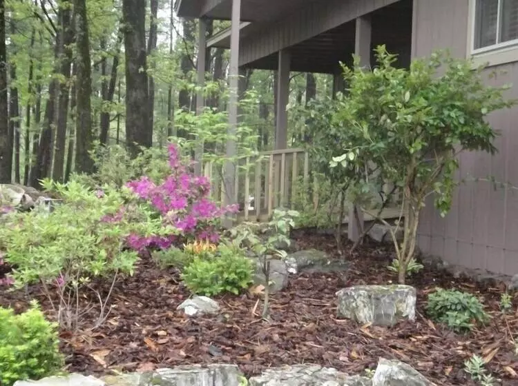 Mountain Harbor Forest View Lodge Cottage By Redawning