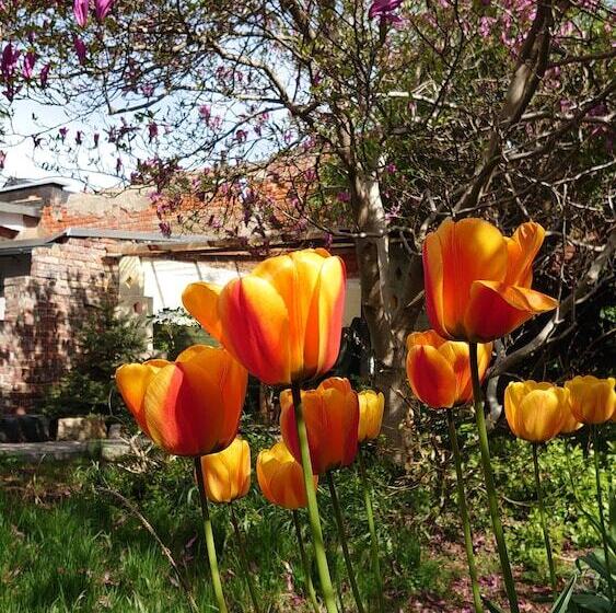 膳宿费 Alte Bäckerei Bautzen