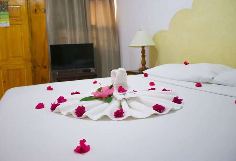 پانسیون Van Villa Holidays