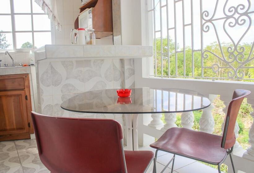 پانسیون Van Villa Holidays