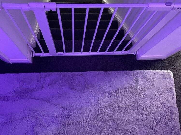 레지던스 Gorgeous 2 Bed Apt In Leafy Richmond!