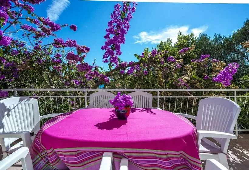 Residenssi Stunning 3 Bed House In Orebic