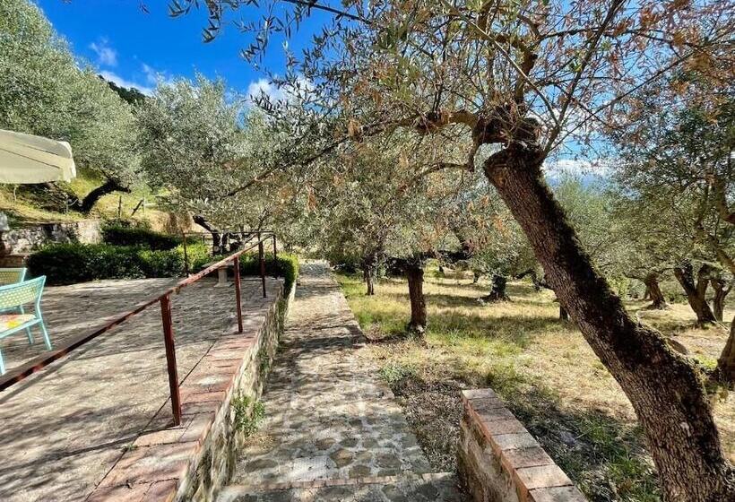 צימר Agri Resort Masusa