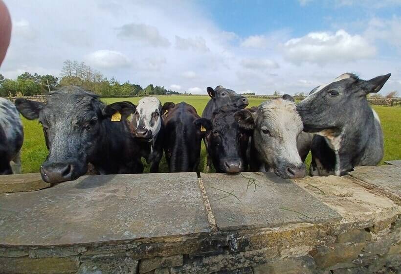 Cozy Cottage Retreat Less Than A Mile From Haworth