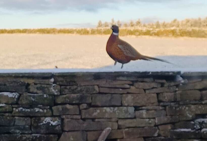 Cozy Cottage Retreat Less Than A Mile From Haworth