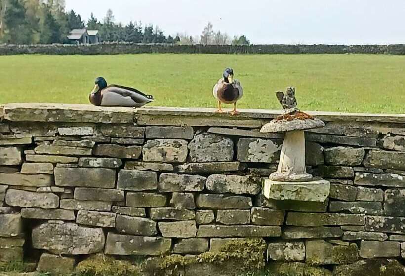 Cozy Cottage Retreat Less Than A Mile From Haworth