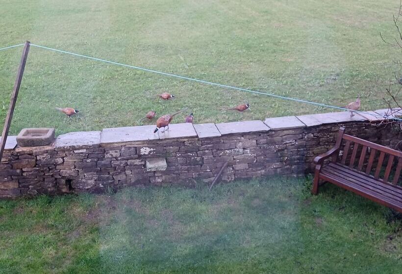 Cozy Cottage Retreat Less Than A Mile From Haworth