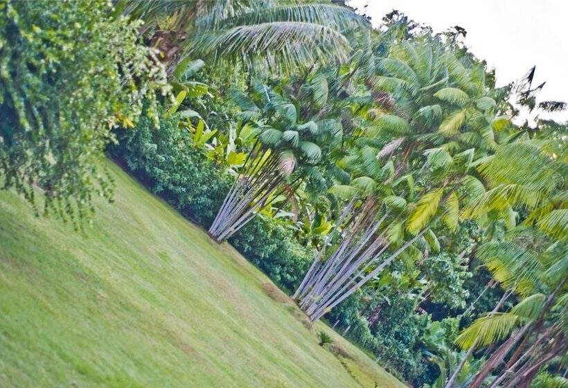 Hotel Vila Noah Pousada