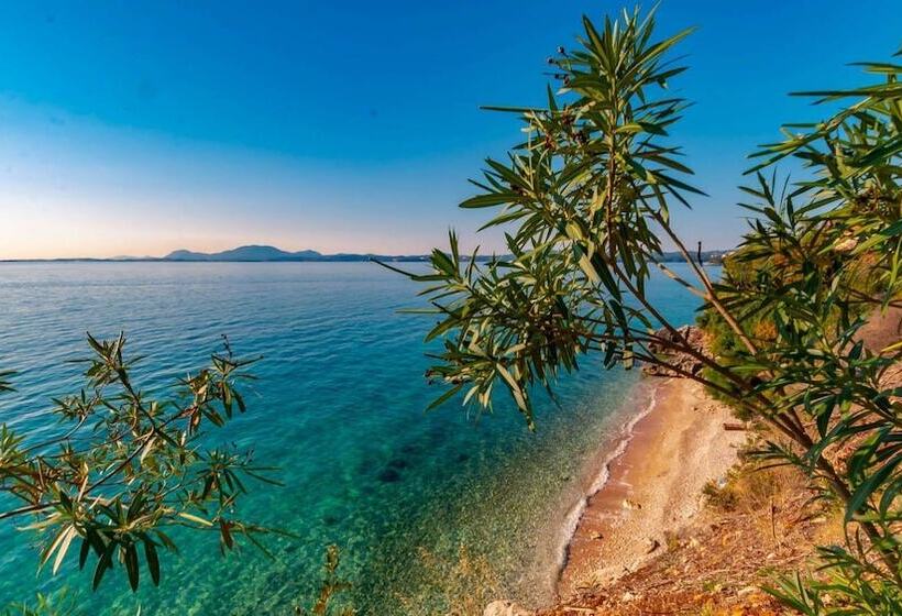 ペンション Room In Guest Room   Homric Boutique No69