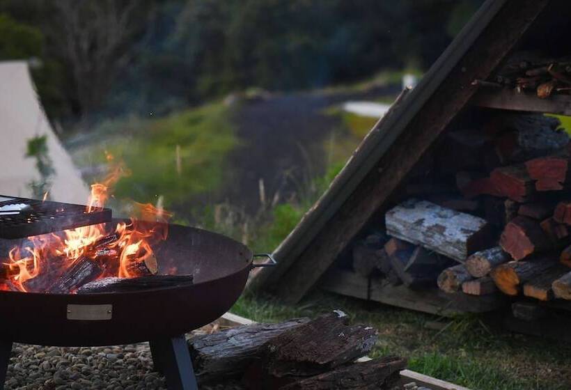 Отель Cicada Luxury Camping