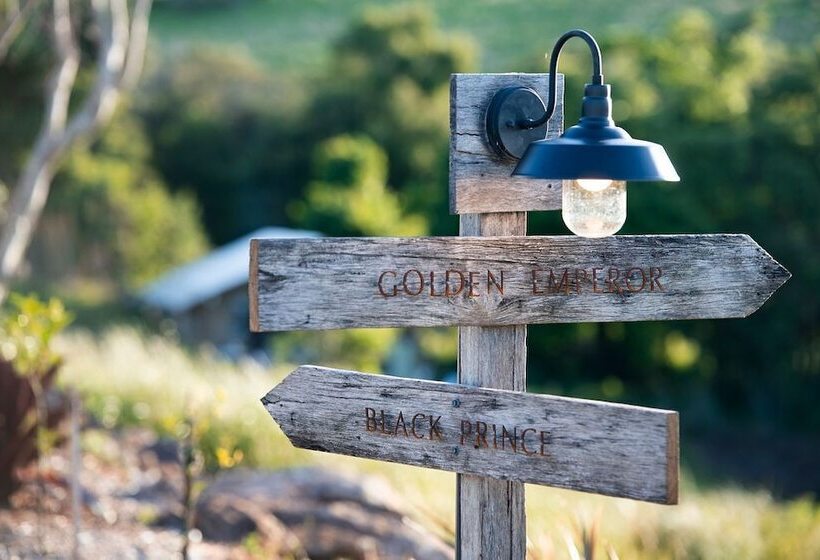 Отель Cicada Luxury Camping