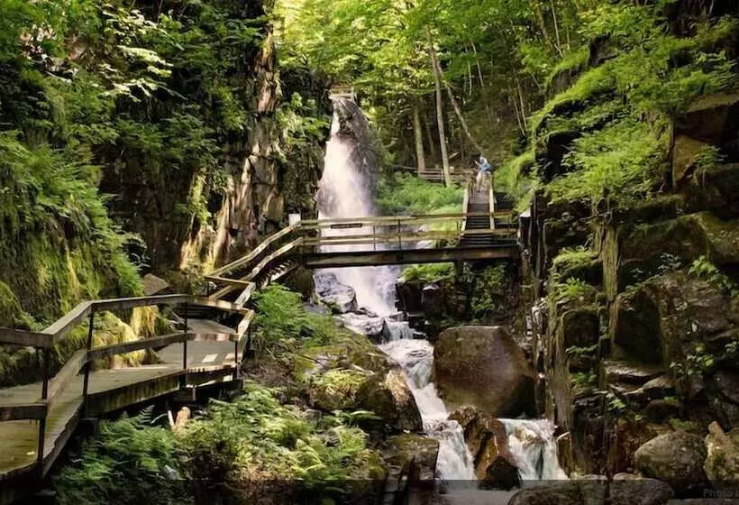 ホテル Hampton Inn Lincoln White Mountains