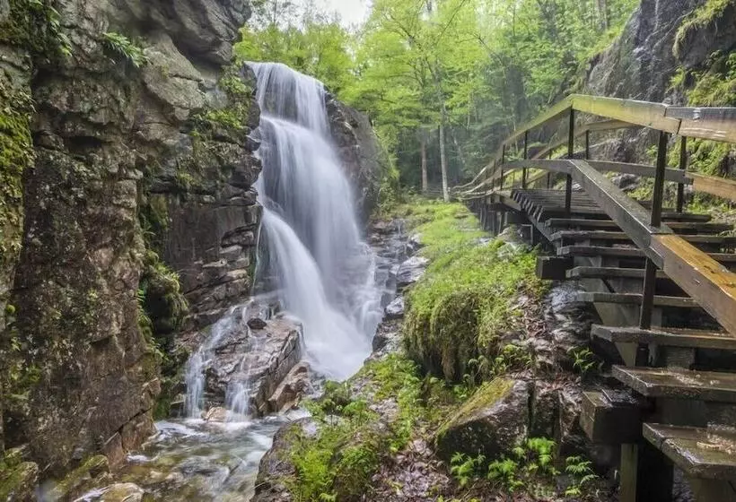 ホテル Hampton Inn Lincoln White Mountains