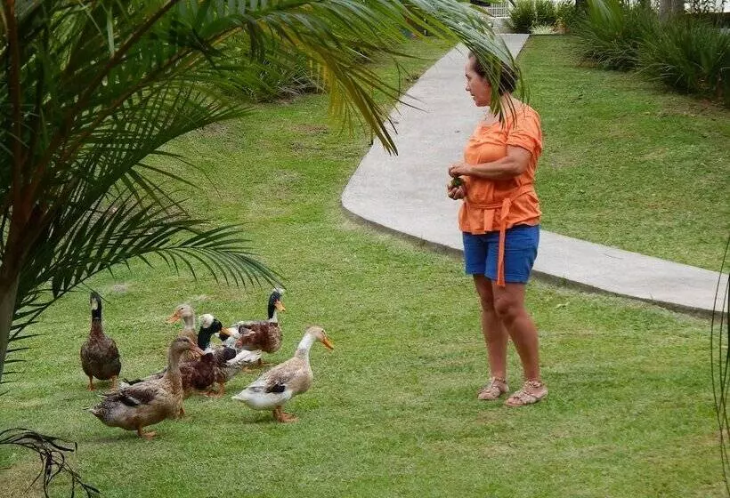 ホテル Pousada Recanto Indaiá