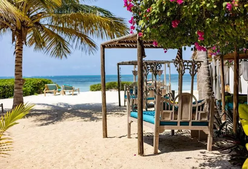 Hotelli Sharazad Oasis Retreat