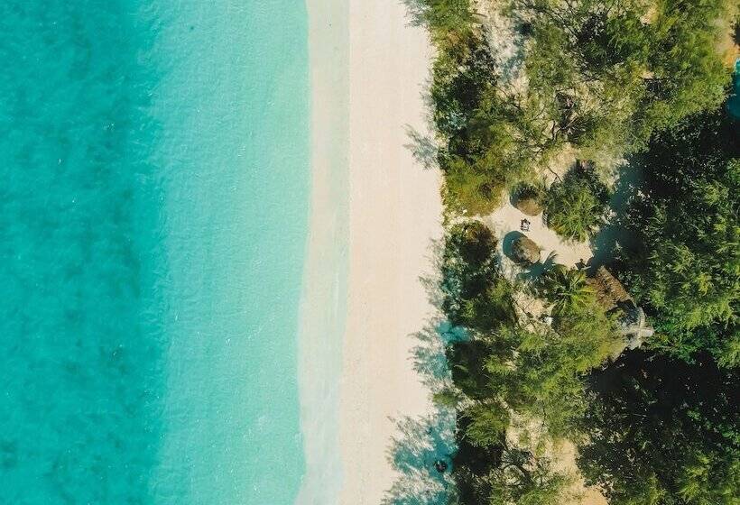 בית מלון כפרי Sharazad Oasis Retreat