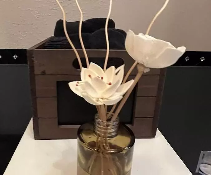 Majatalo Opus House Historic Natchitoches