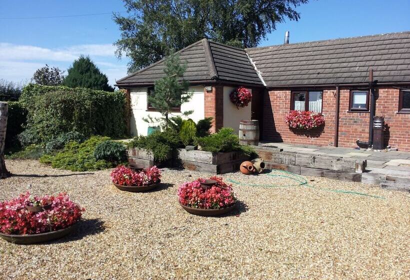 بنسيون Our Snug