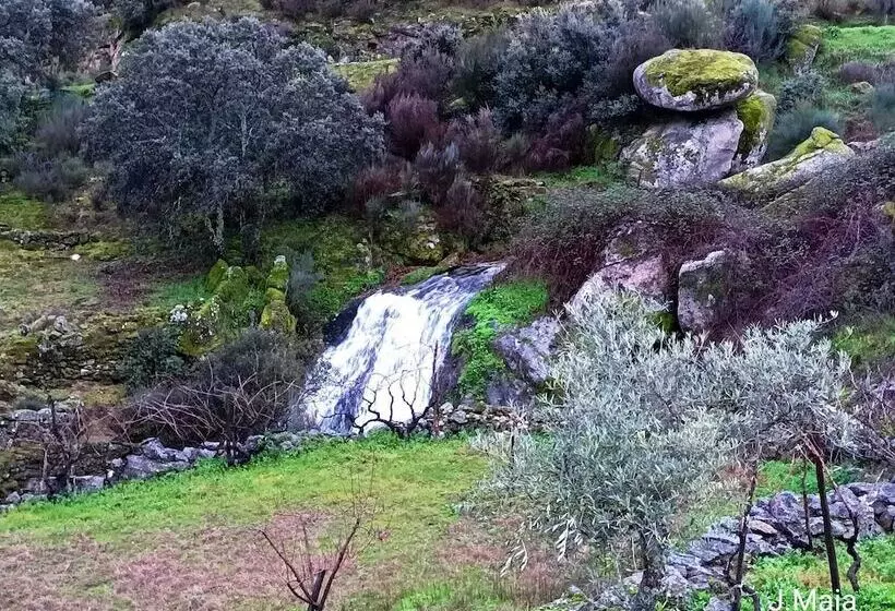 Residenssi Stunning House In Mirandela Ideal For 10 People