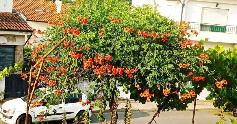 Residenssi Stunning House In Mirandela Ideal For 10 People