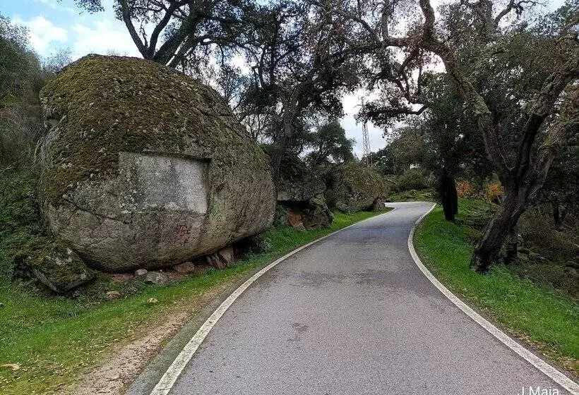 Residenssi Stunning House In Mirandela Ideal For 10 People