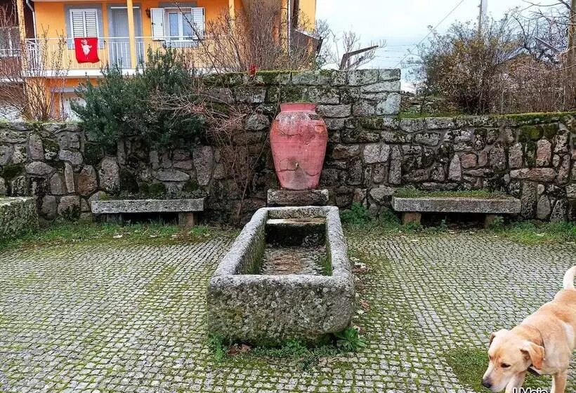 Residenssi Stunning House In Mirandela Ideal For 10 People