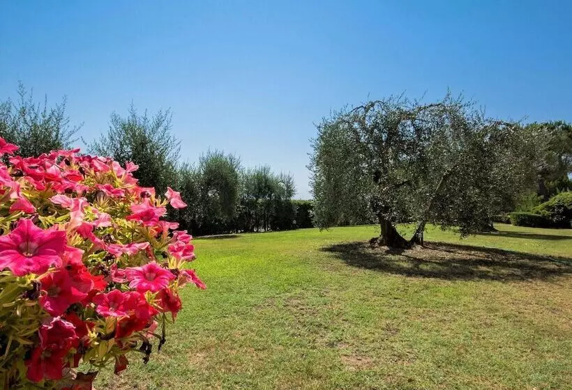 Stone Farmhouse In Castelfiorentino With Swimming Pool