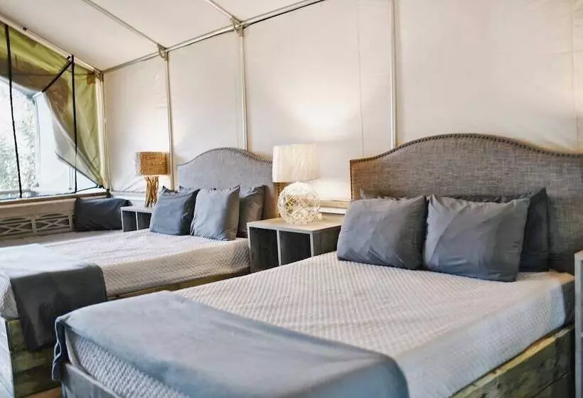 20 Son S Rio Cibolo   Birdhouse Cabin