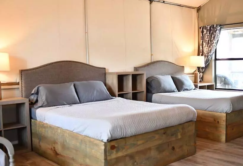 20 Son S Rio Cibolo   Birdhouse Cabin