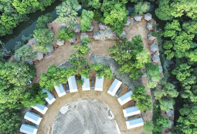 22 Son S Rio Cibolo   Birdhouse Cabin