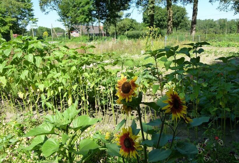 Bed and Breakfast Gästehaus Grunewald