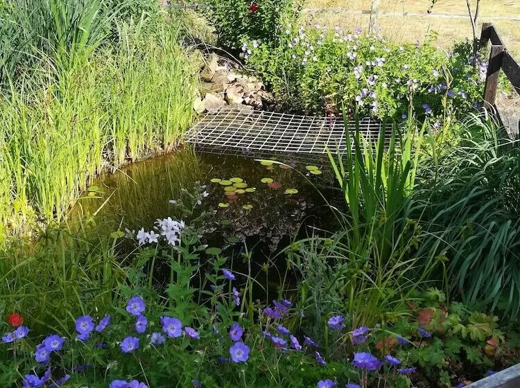 Aamiaismajoitus (B&B) Gästehaus Grunewald
