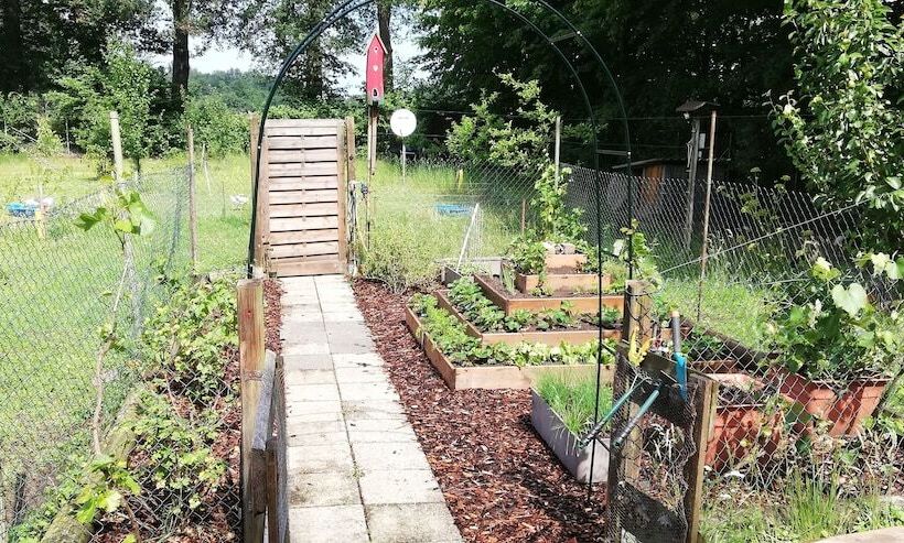 Bed and Breakfast Gästehaus Grunewald