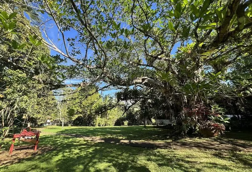 Blue Banyan Inn