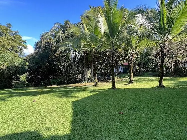 Blue Banyan Inn