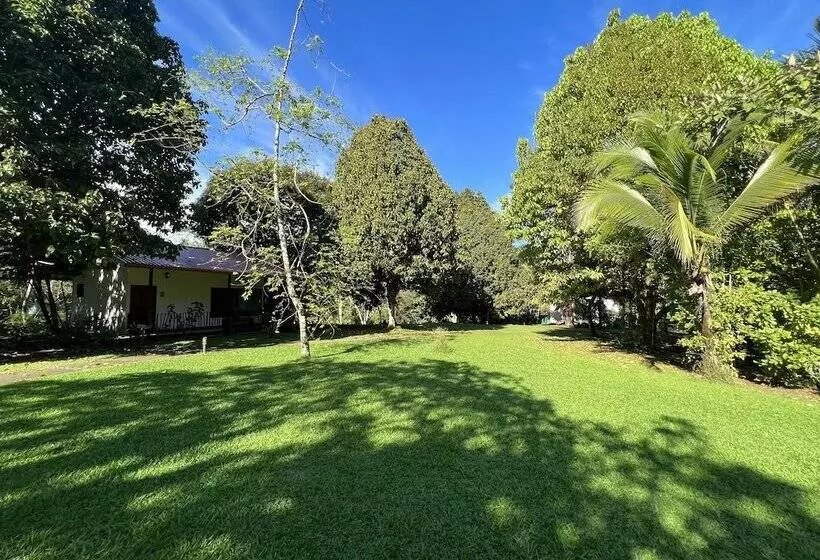 Blue Banyan Inn
