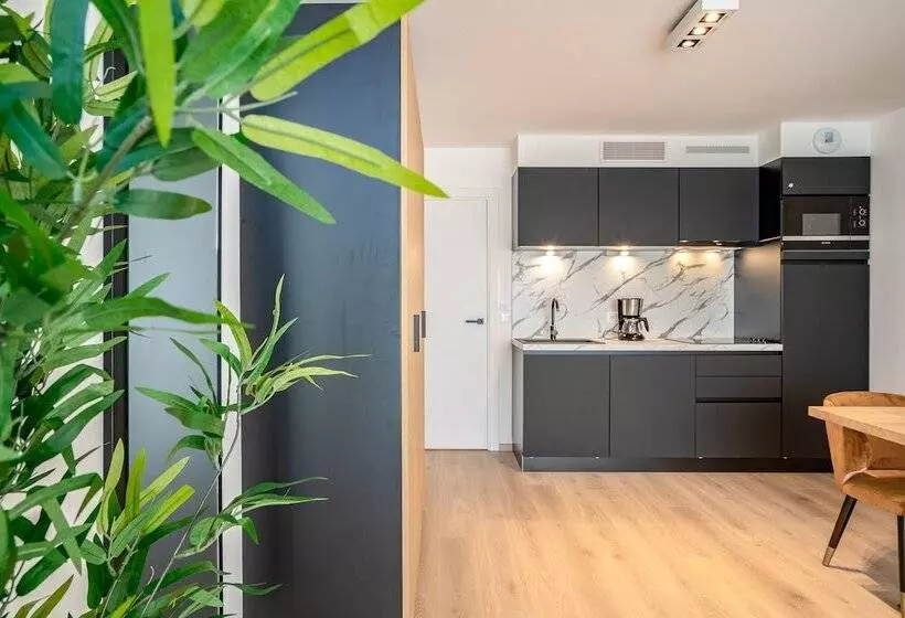 Evancy Trésors D Opale