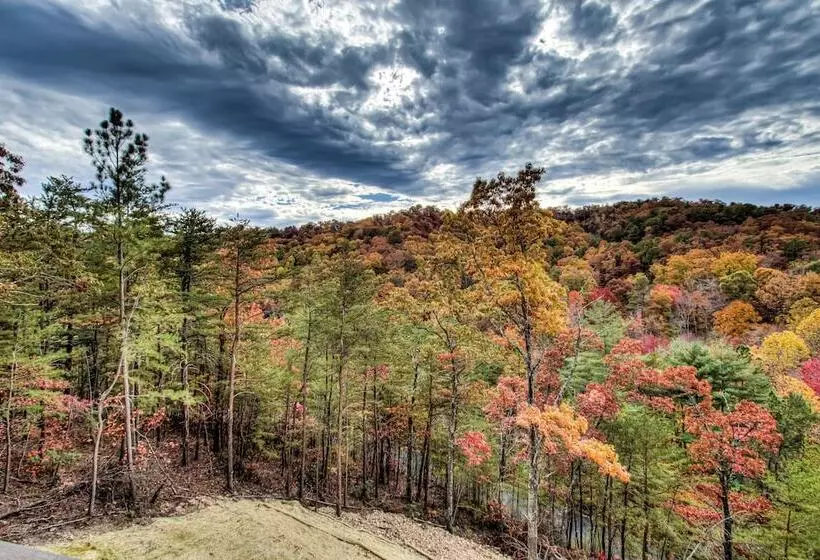 Honey Bear Hill #326