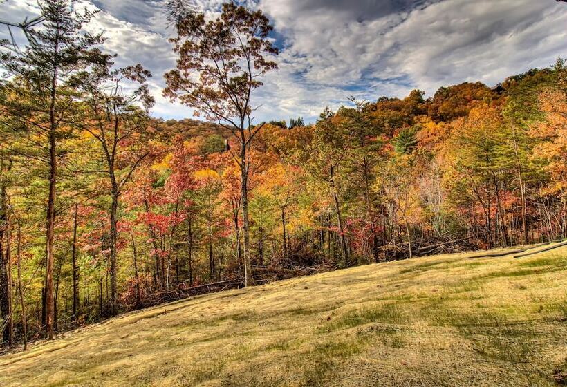 Honey Bear Hill #326