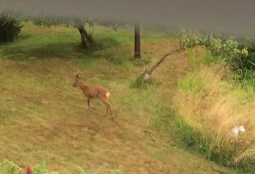 レジデンス Coastal Farm Cottage With Epic Views